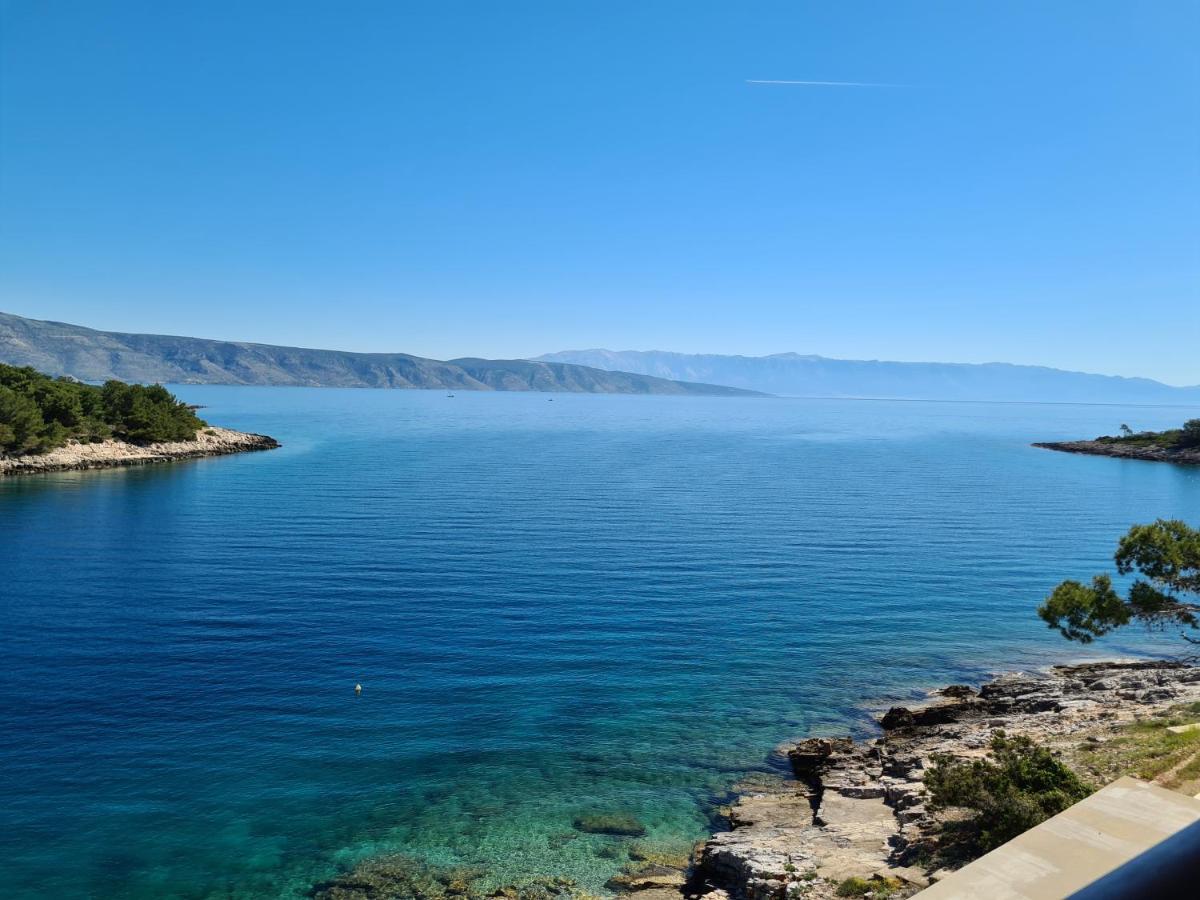 Apartmán Habek *